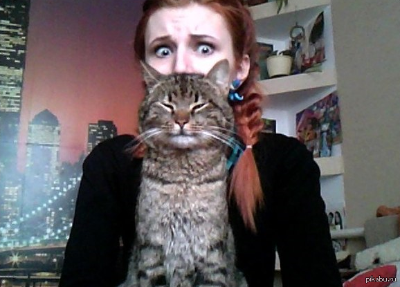 �� �������, ����� ���� ��� �������� ������������