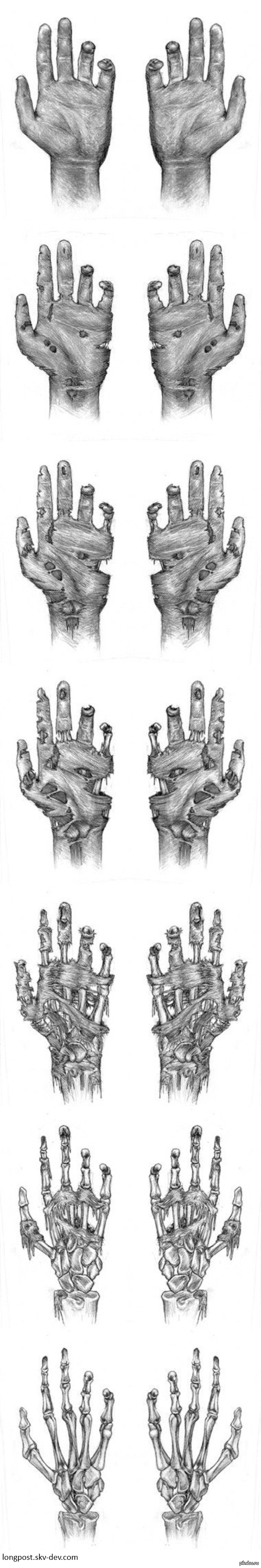 Жизнь в 7 рисунках..