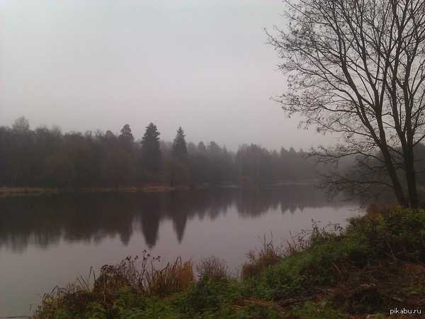 Немного осени