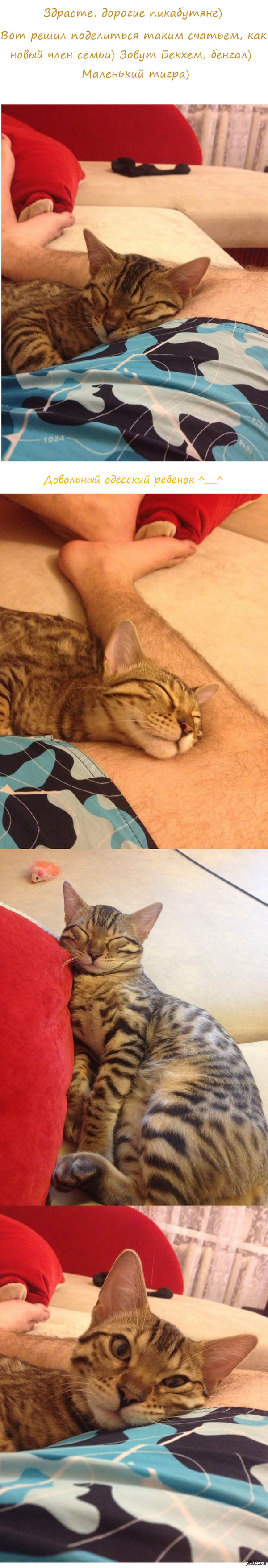 ������ ���� �� 284 ���) ��� ��� ����� ����) ��� ����� ���� ������ � ��� �������)