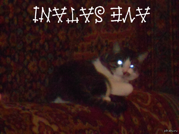 ����� � ������ ������