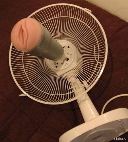 С просторов сети