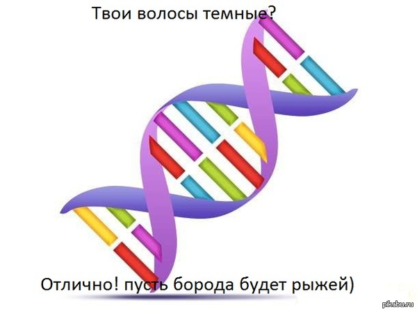 И снова генетика) - Волосы, Моё, ДНК, Борода, Генетика
