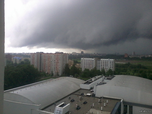 ��� �����������