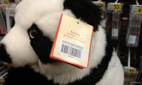 ��������� �����