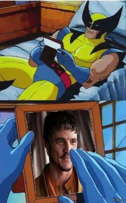  ( 