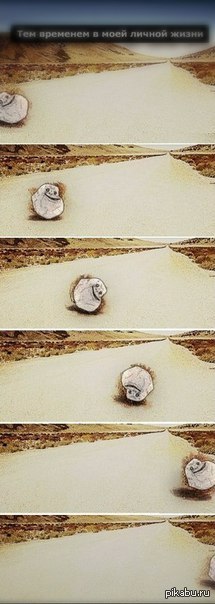 ��� �������� � ���� ������ �����.