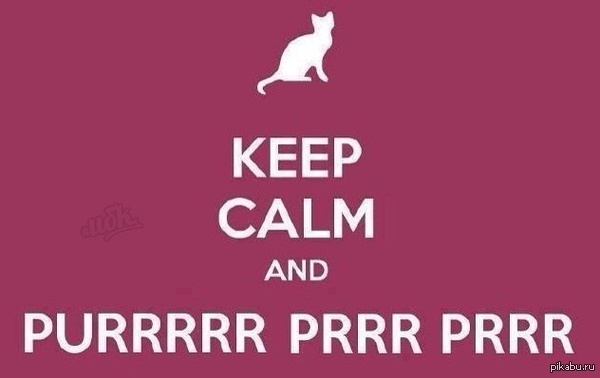 Keep calm and purrrr 