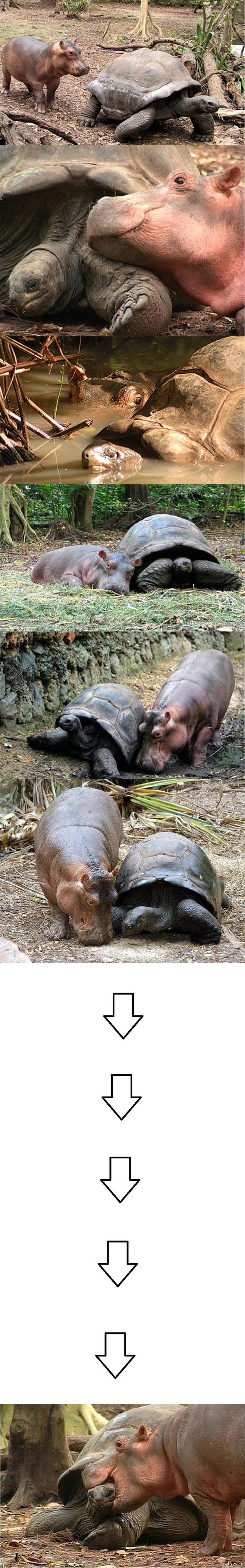 ������� � ������ ������