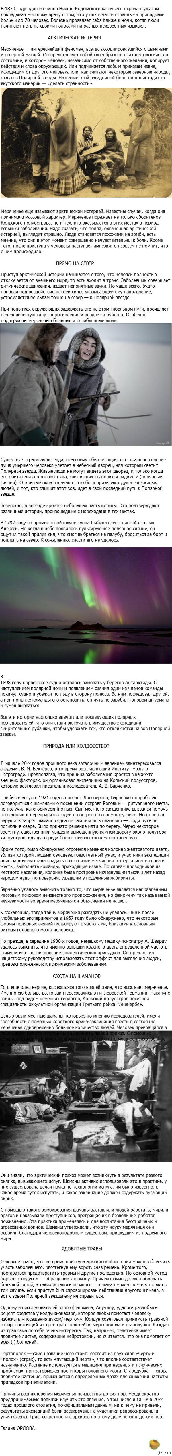     ().  umorist