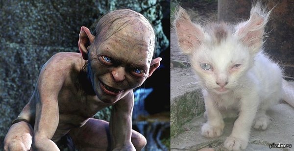 � �����: http://pikabu.ru/story/_2352667