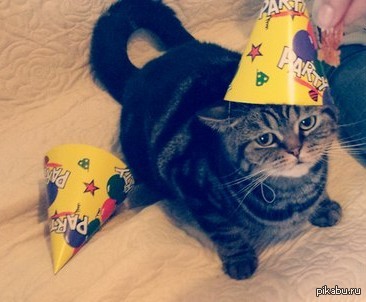 ����������� �������