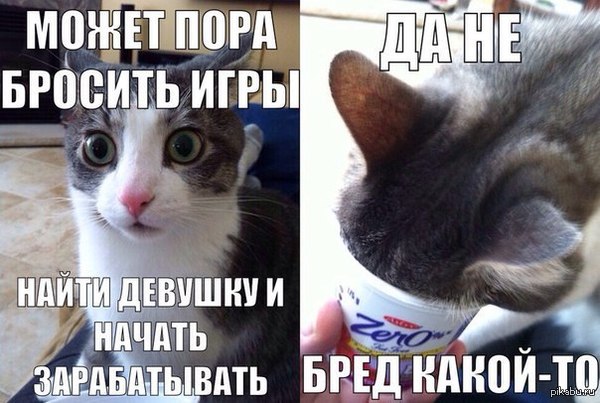 жизнь как она есть