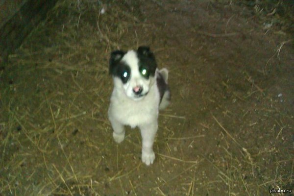 ���� �������� ��� ���� ������, ����. ����� ���� ���������� ������ ���� ������� ��� ���� (������). ���� ����� � �������� ������)