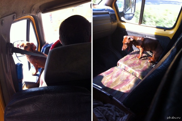 ������ �� ��������!