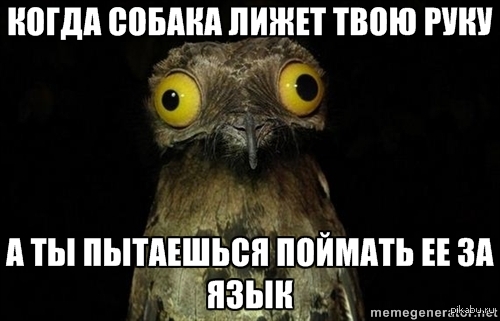 ��������� ������