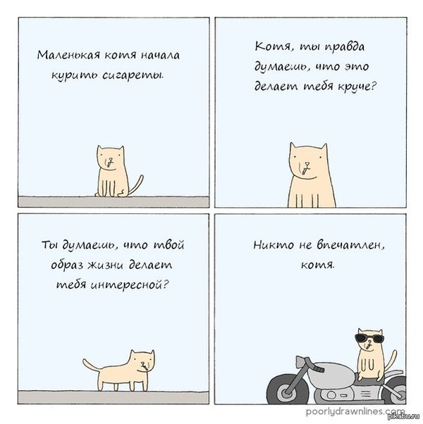 When your cat is cooler than you - Images, cat, Poorly Drawn Lines