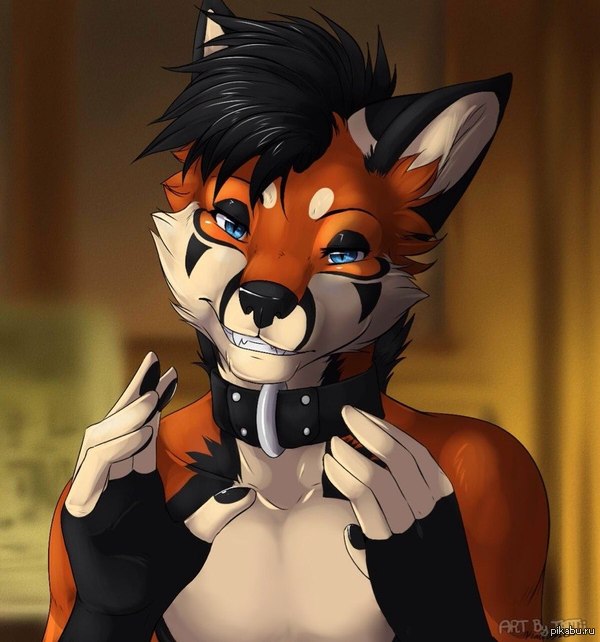 Немного лисистости ;3