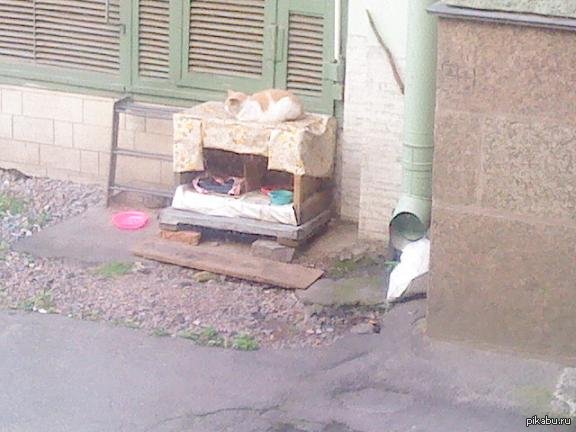 ������ ���