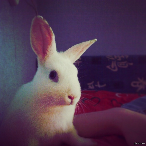 ������ ������!