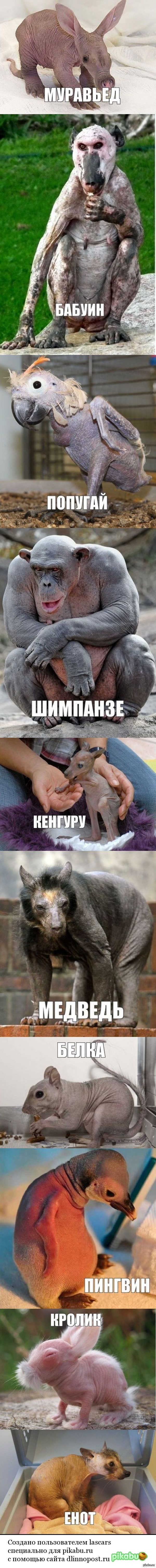 ��� ���������� ��� ������� � ��������� ��������.