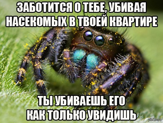 ����������������