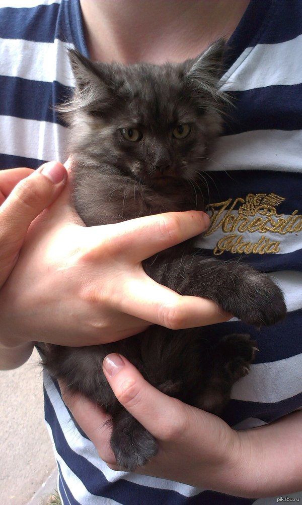 ������������ ������