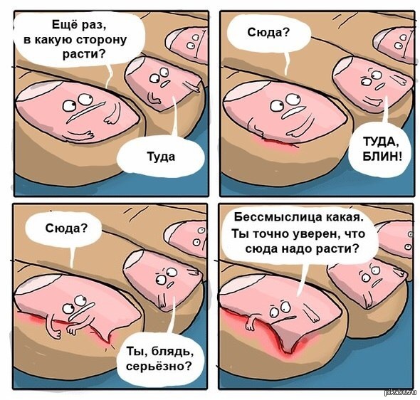 ���� � ���������