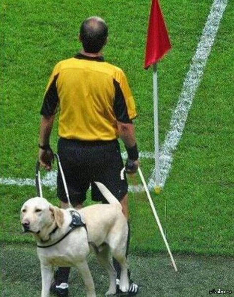 ����� �� �� 2014