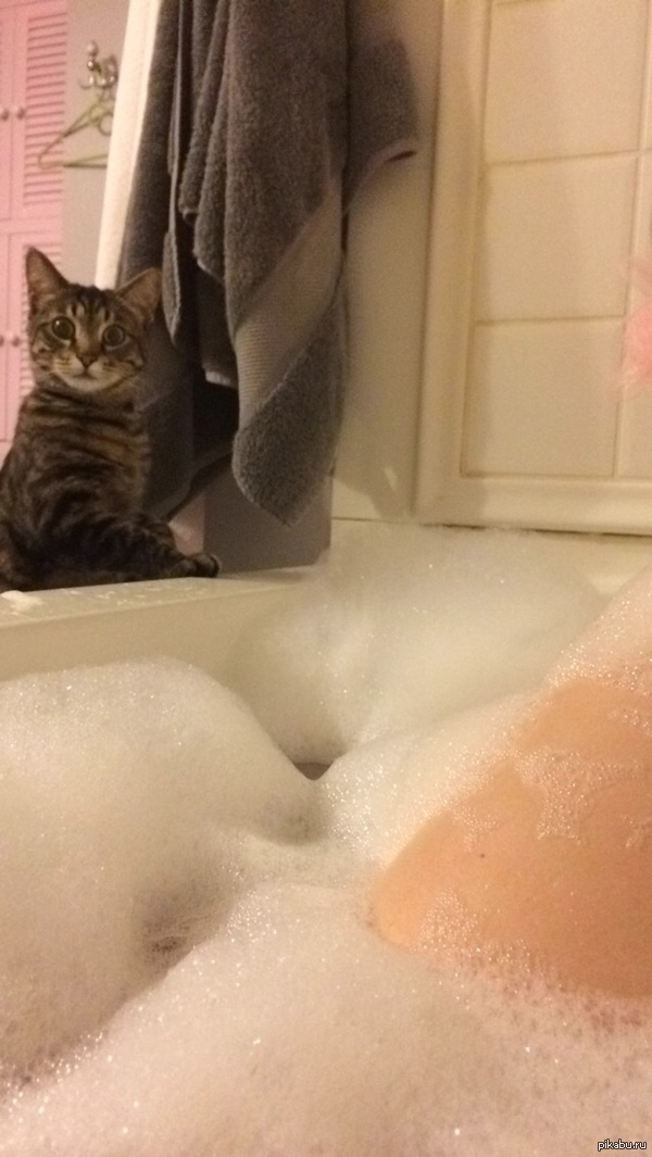 Wet pussy - NSFW, cat, Girls, Sight, Tag