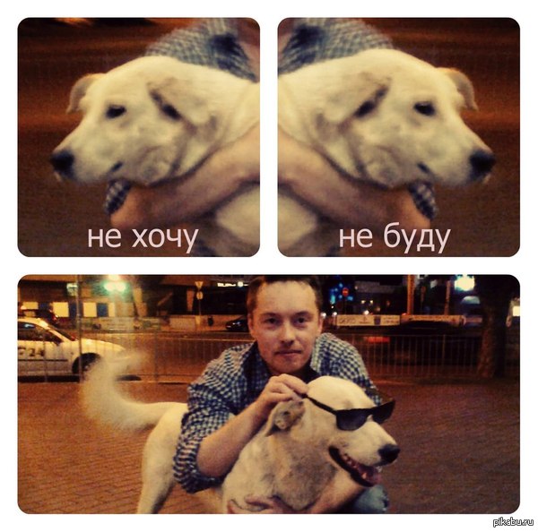 Мы с соседом встретили крутого бродягу