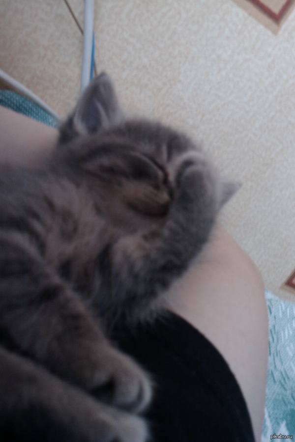 ������ ����� ������� ������� ���� ^^