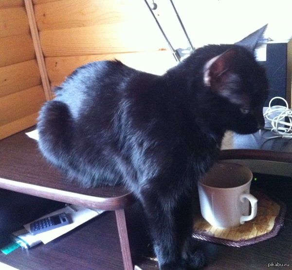 ������ ��� ����� �� ����� ��� ��������� ������