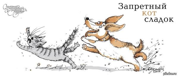 Запреты