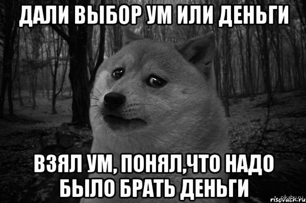 Choice - Doge, My, Memes