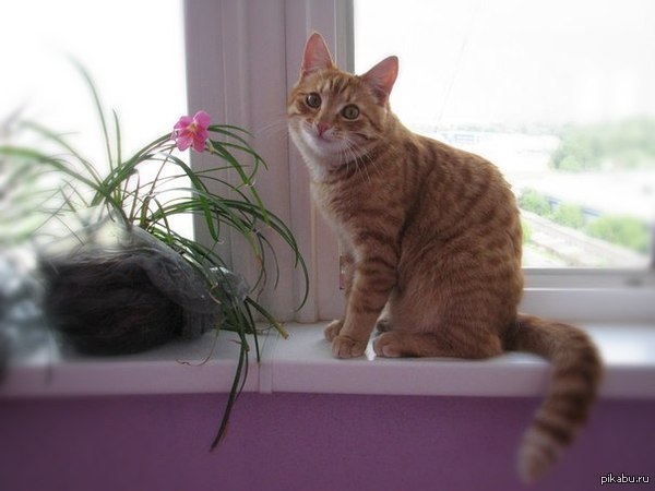 ���� �� ���...��?