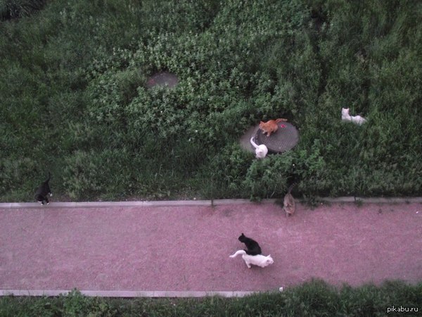 ������ ��� ����� �� ������ ����.