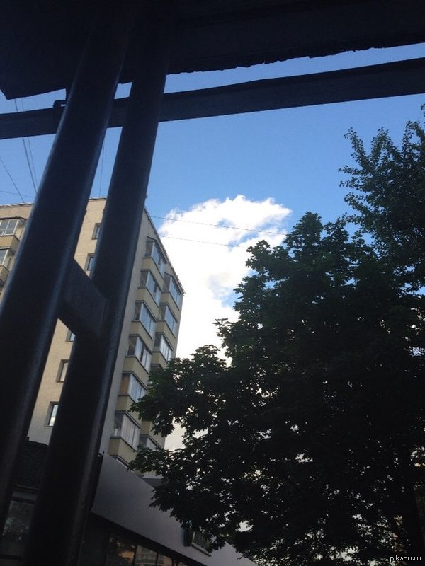 �������� ��������.