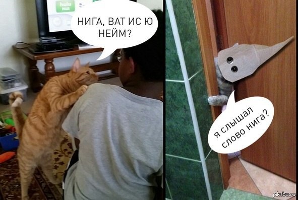 К-к-к-к-к-омбо
