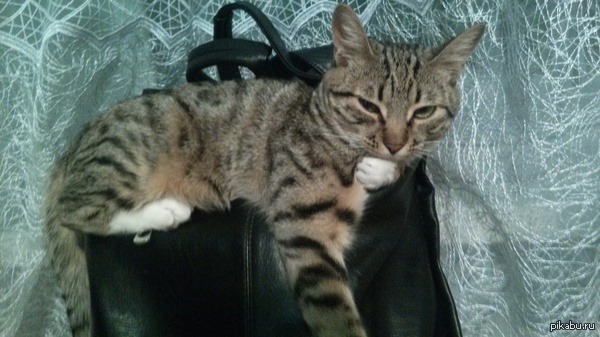 ��� �������, ��� ����� ���� ������� ���-�� �����