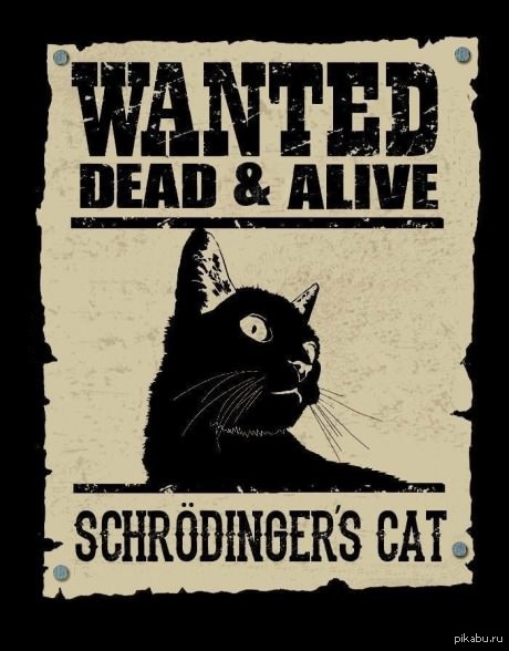 ��� ���������