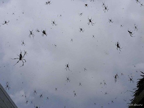 �� ����� �� � ������� ��� ����� ��������