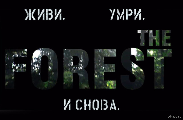 The Forest    