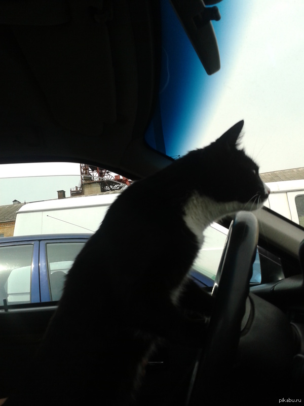 ������ ���.