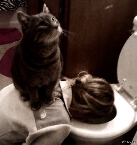 ���������, ��������, ������!