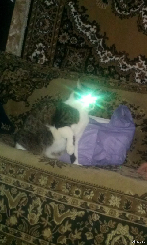 ��������� �������