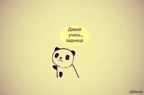 ����� �������������!