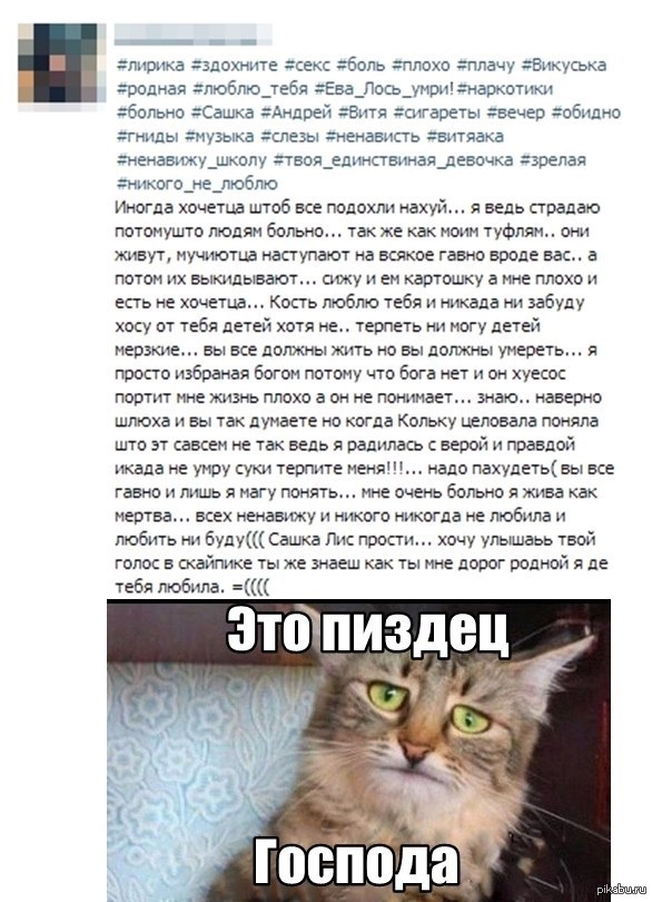 типичная тп