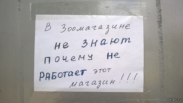 Крик души работников зоомагазина