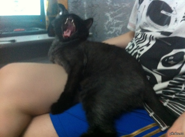 ������� ����:))))